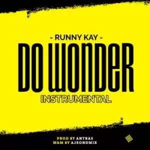 Instrumental: Runny Kay - Do Wonder [Instrumental + Hook]
